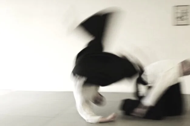 Aikido Kokyo Nage: Aikido's way to teach the state of flow for the mind and body. Seishinjuku Dojo formally known as Culver City Aikido. Martial Art School